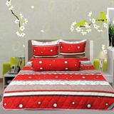 Bộ Chăn Drap Gối Hometex