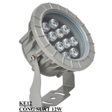 Đèn Pha LED Khaphaco chiếu điểm KE12 12*1W