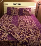 Bộ ga trải giường chần bông Cotton nhung Cá Tím Loại - 1.6x2m