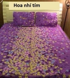 Bộ ga trải giường chần bông Xoa nhun Hoa Nhí Tím - Loại 1.6x2m