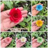 Hoa hồng giấy (Size 4cm - 4,2cm) - Set 06 bông_CH07