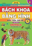 Bách Khoa Bằng Hình Đầu Tiên Cho Bé Theo Chủ Đề - Song ngữ Anh Việt - Quét mã QR nghe đọc