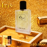 Nước Hoa Nam Eau De Parfum Charme Iris 50ml