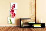 Tranh Treo Tường Hoa Tulip D311A
