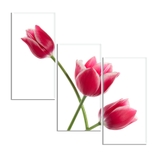 tranh-hoa-tulip