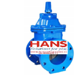 Gate valve resilient seated Avarus Valves Việt Nam WGV RS