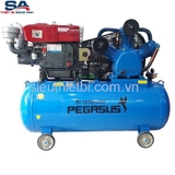 Máy nén khí chạy xăng Pegasus TM-V-0.25/8-100L