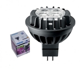 Bóng Philips Master LEDspot Dim 7W-50W