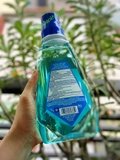 Nước súc miệng Crest Pro-Health Multi-Protection 99% Germ Kill (1L) - MADE IN USA.