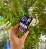 Thanh lọc phổi Kobayashi (80 viên) - MADE IN JAPAN.