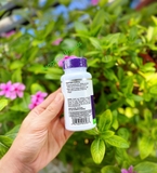 Viên uống kích mọc tóc Natrol Biotin Beauty 10000mcg (100 viên) - MADE IN USA.