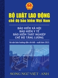 LUẬT SƯ BẢO VỆ QUYỀN LỢI; ĐẠI DIỆN TRONG CÁC VỤ ÁN LAO ĐỘNG – BẢO HIỂM.