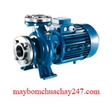 Máy