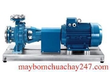 Máy