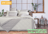 Bộ chăn ga gối Everon EPM 22066