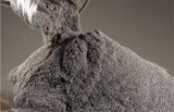 Tungsten powder