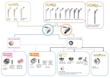 ARTHROPLASTY /TRANSYSTEME FRANCE