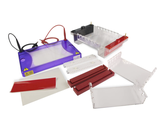 bo-dien-di-ngang-multisub-choice-15x10-model-mschoice-hang-cleaver-scientific-anh