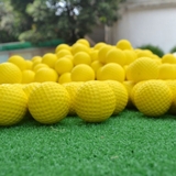 Bóng Tập Golf Cao Su Non - PGM Q008 ( Best Seller )