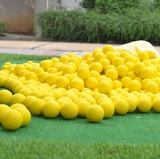 Bóng Tập Golf Cao Su Non - PGM Q008 ( Best Seller )