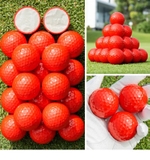 Bóng Golf Lõi Kép Nhiều Màu - 2 Layer Color Golf Ball - PGM Q014