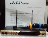 Micro AAP audio K-66