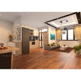 Thiết kế Nội thất nhà chị Quế CH02 CT1 Trung Van