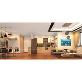 Thiết kế Nội thất nhà chị Quế CH02 CT1 Trung Van