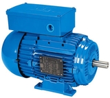 Motor điện/ động cơ điện Dolin