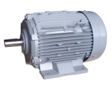 Motor Hitachi chân đế