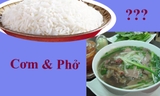 Thơ vui: Cơm và Phở