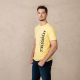 ÁO THUN NAM CỔ TRÒN TAY NGẮN XUẤT MỸ MÀU VÀNG AT4408T