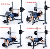 bài-tập-với-Ghế-Tập-Tạ-Power-Rack-FX32-2