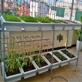 Giàn trồng rau sạch tại nhà (2 tầng, 12 chậu, 3,6 m2)