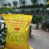 Đất Trồng Cây, Trồng Rau (Bao 10Kg) - Giá rẻ từ năm 2015