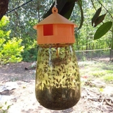 Đèn bẫy ruồi vàng - Vô cùng hiệu quả để bảo vệ mùa màng
