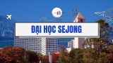 ĐẠI HỌC SEJONG