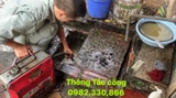 thông tắc cống thoát nước giá rẻ nhất hà nội