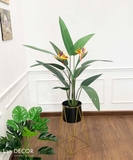 Cây chuối thiên điểu trang trí nội thất LanDecor (115cm) - LC3179 mix