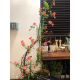 Dây hoa hồng leo trang trí LanDecor (300cm) - CC478