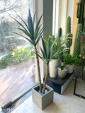 Cây Yucca trang trí Lan decor - cây giả trang trí 100cm - LC3275