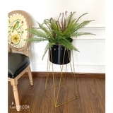 Kệ cây dương xỉ vạn tuế trang trí nhà đẹp (100cm) - CC498