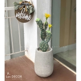 CHẬU CÂY XƯƠNG RỒNG BẸ HOA VÀNG PHONG CÁCH HIỆN ĐẠI LAN DECOR (50CM) - CC201/CC202