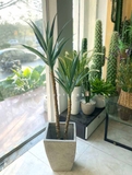 Cây Yucca trang trí Lan decor - cây giả trang trí 100cm - LC3275