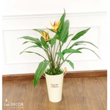 Giỏ hoa thiên điểu trang trí LanDecor (100cm) - CC483