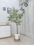 Cây oliu trang trí nội thất LanDecor (1m65) - LC3045