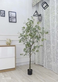 Cây bạch đàn trang trí nhà, quán cafe đẹp LanDecor (165cm) - LC3051