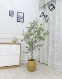 Cây bạch đàn trang trí nhà, quán cafe đẹp LanDecor (165cm) - LC3051