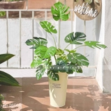 GIỎ MONSTERA DECOR ĐỘC ĐÁO (80CM)- CC758