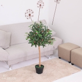 Cây Oliu trang trí phong cách Bắc Âu Lan Decor (90cm) - LC2715